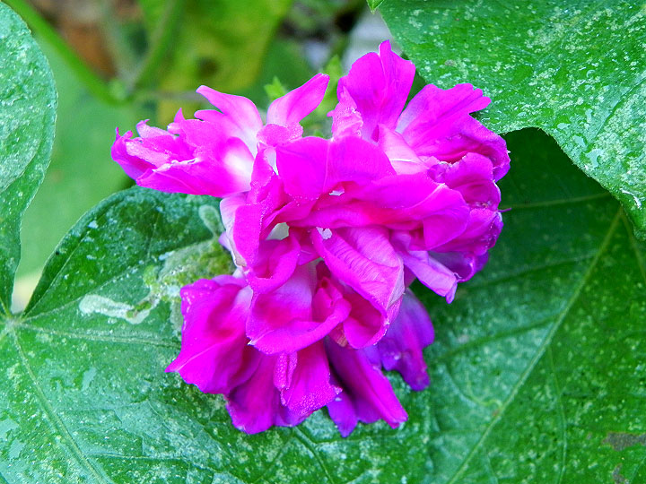DSCN0446_01