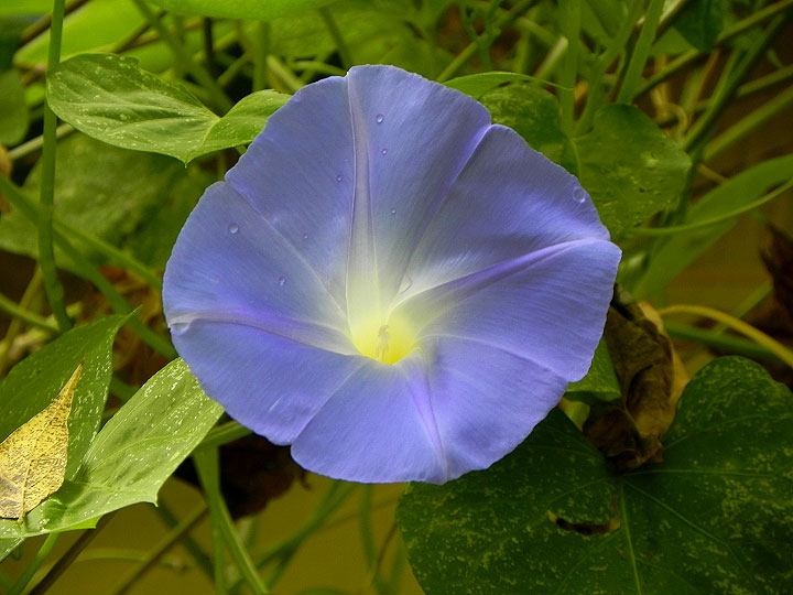 DSCN1043