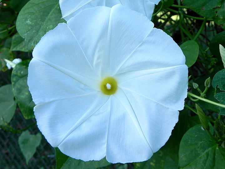DSCN1096_01