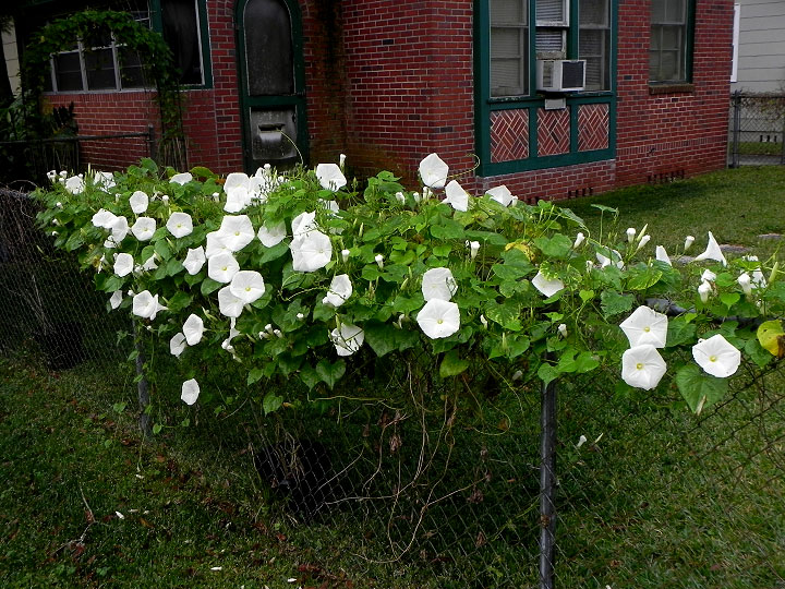 DSCN1147_01