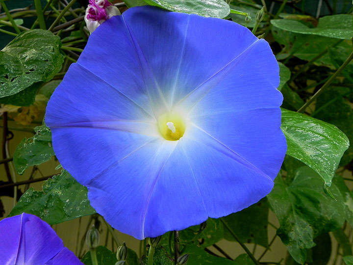 DSCN1165