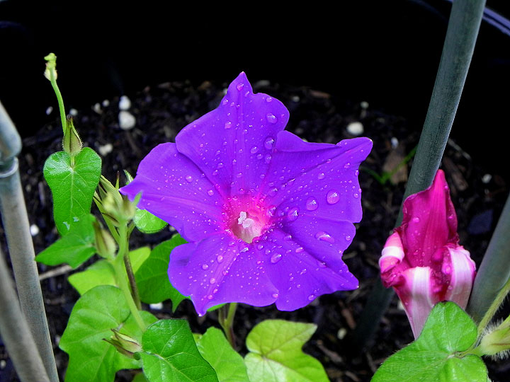DSCN3859