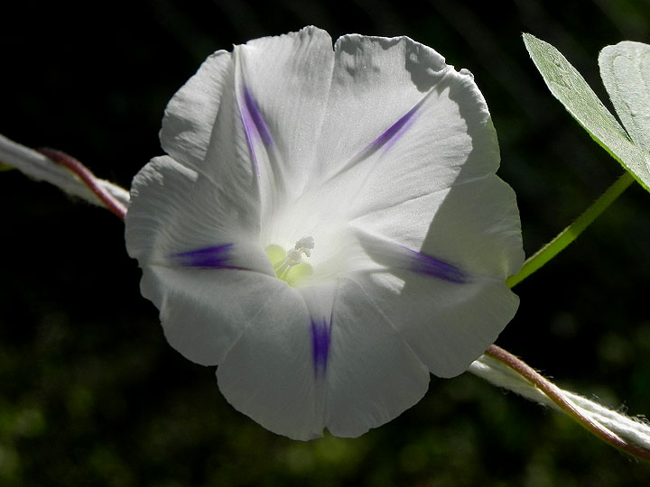 DSCN3940_01