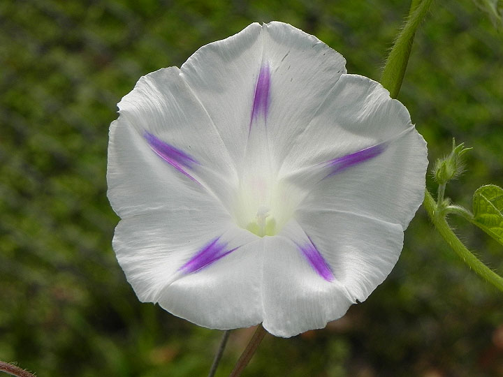 DSCN4019