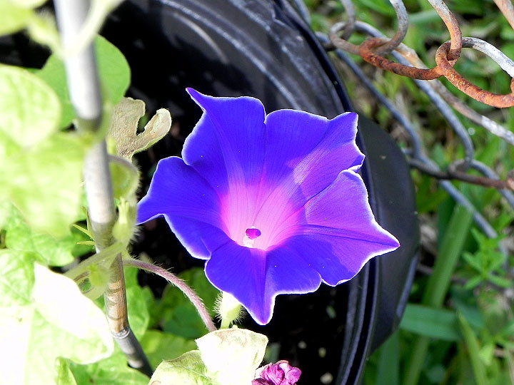 DSCN4109