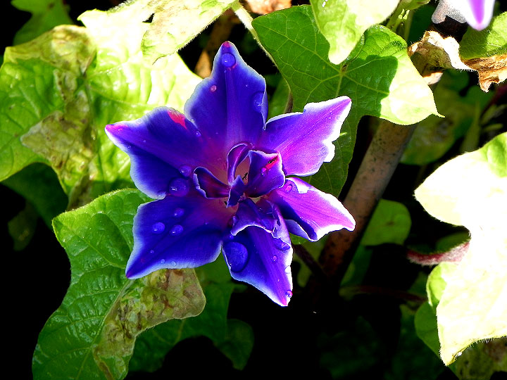 DSCN4346