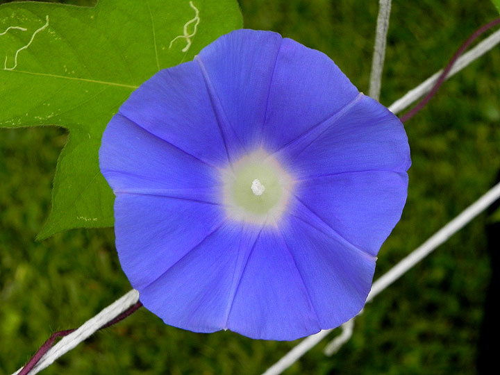 DSCN4365
