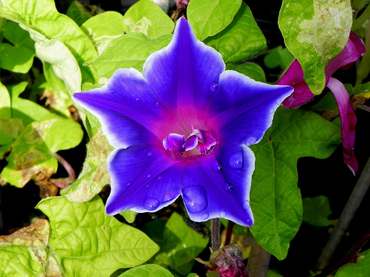 DSCN4437