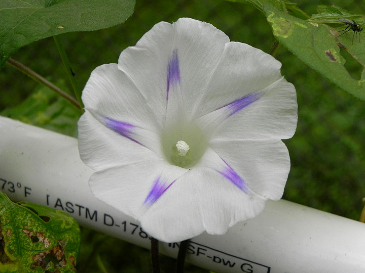 DSCN4835_01
