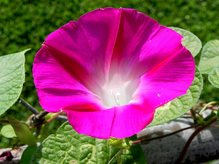 DSCN4859