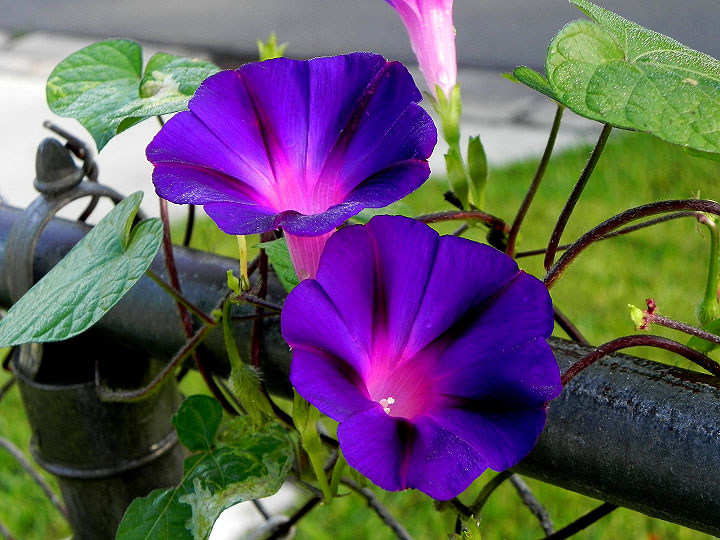 DSCN4891