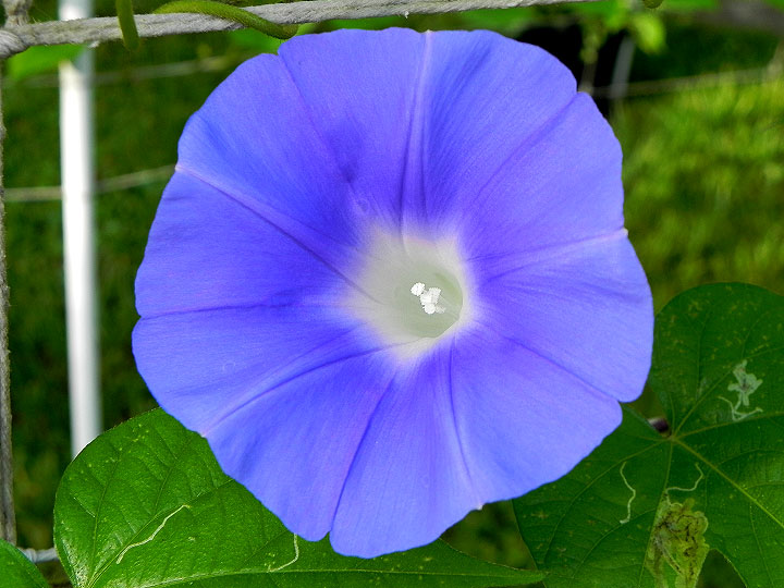 DSCN4910