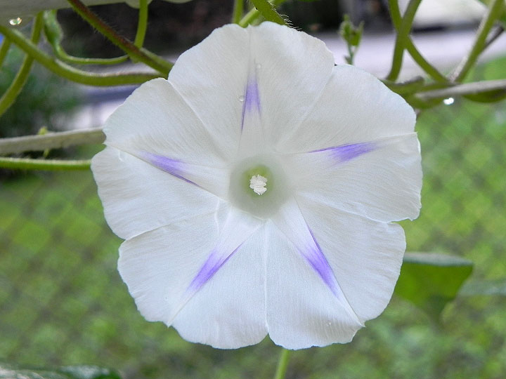 DSCN4914