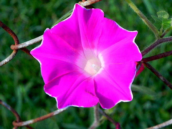 DSCN4926