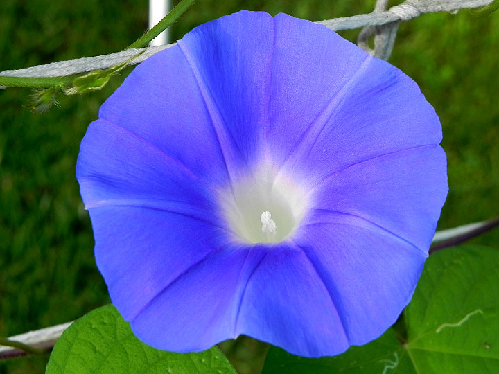 DSCN4947