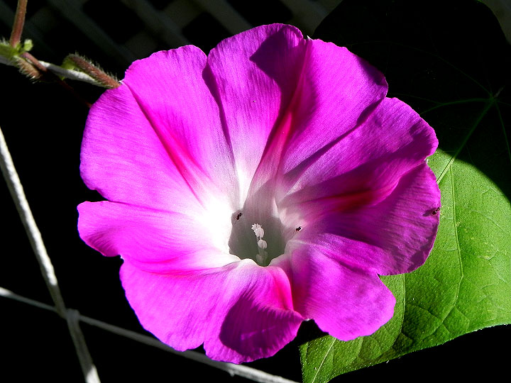 DSCN4964_01