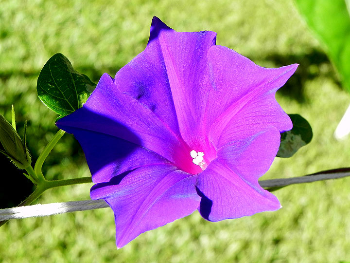 DSCN4973_01