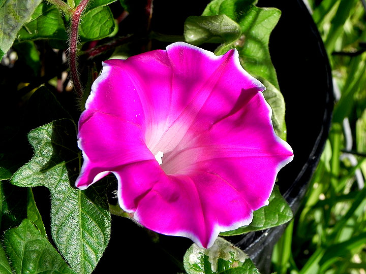 DSCN5020