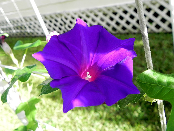 DSCN5047_02