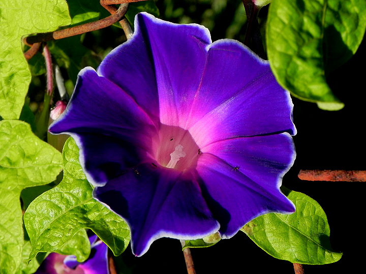 DSCN5075