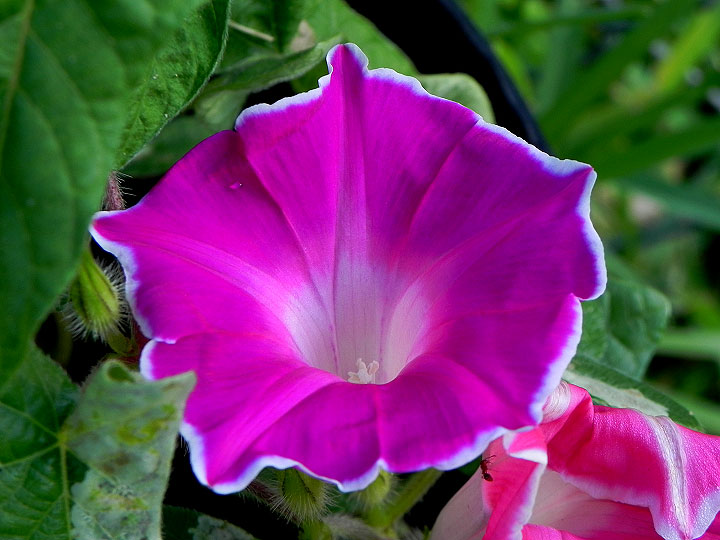 DSCN5076