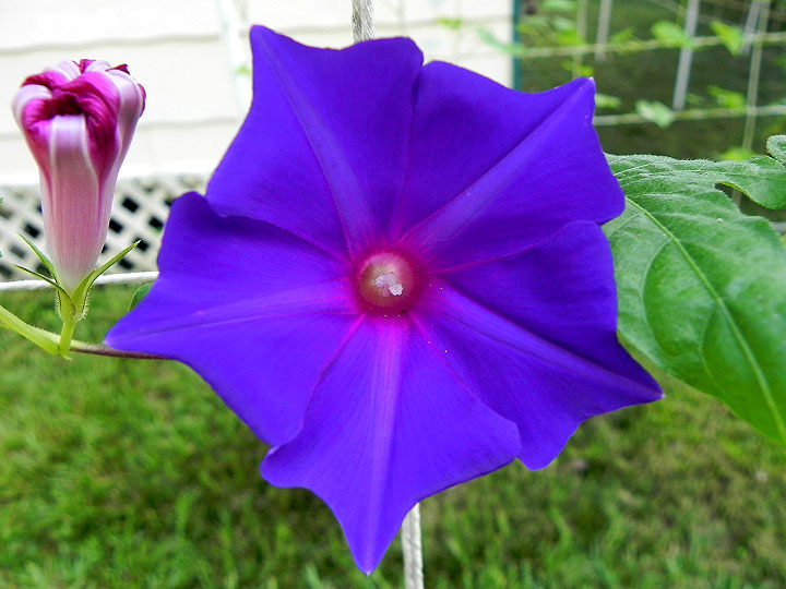 DSCN5108_01