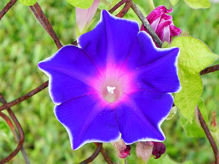 DSCN5127_02