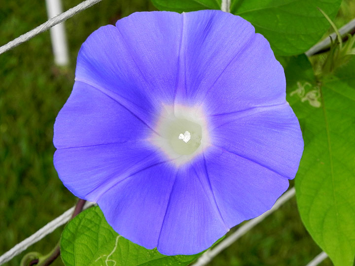 DSCN5156