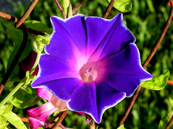DSCN5284_01
