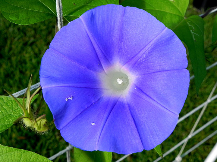 DSCN5312