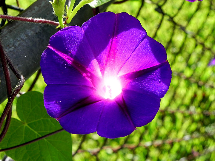 DSCN5333