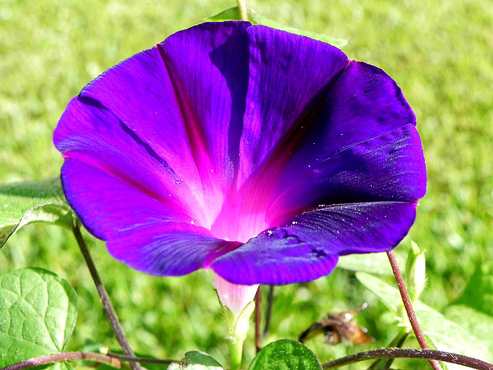 DSCN5334