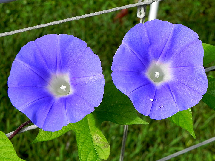 DSCN5355