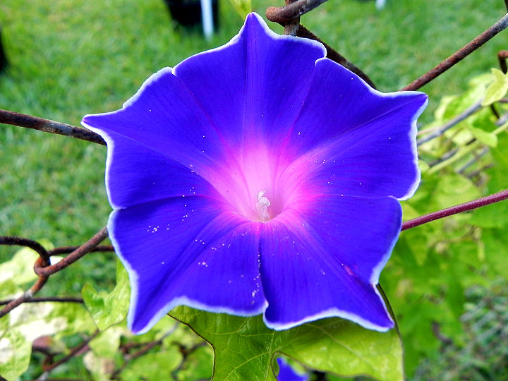 DSCN5396