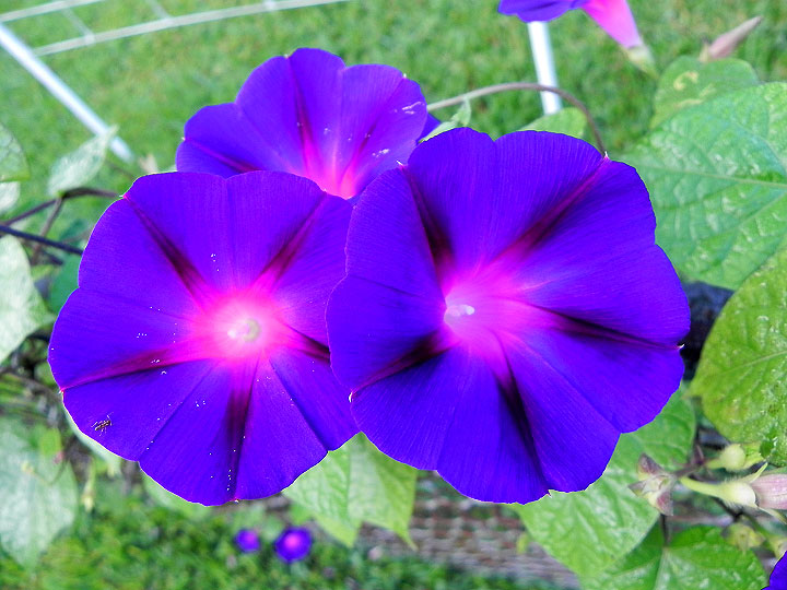 DSCN5399