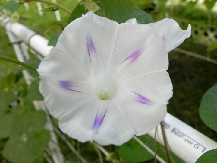 DSCN5427_01