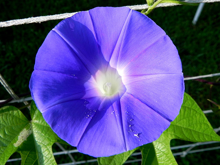 DSCN5471