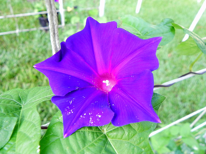 DSCN5478