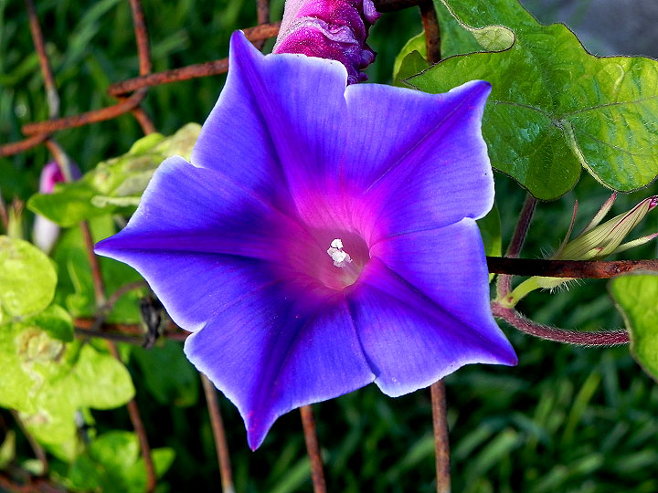 DSCN5500