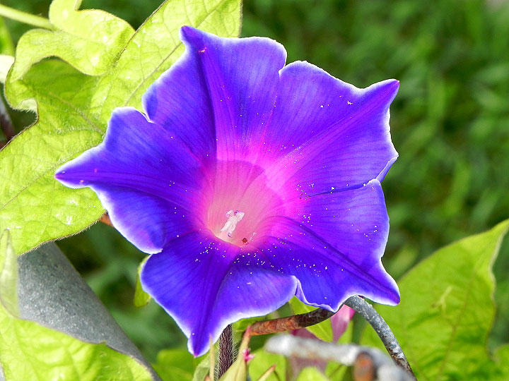 DSCN5568