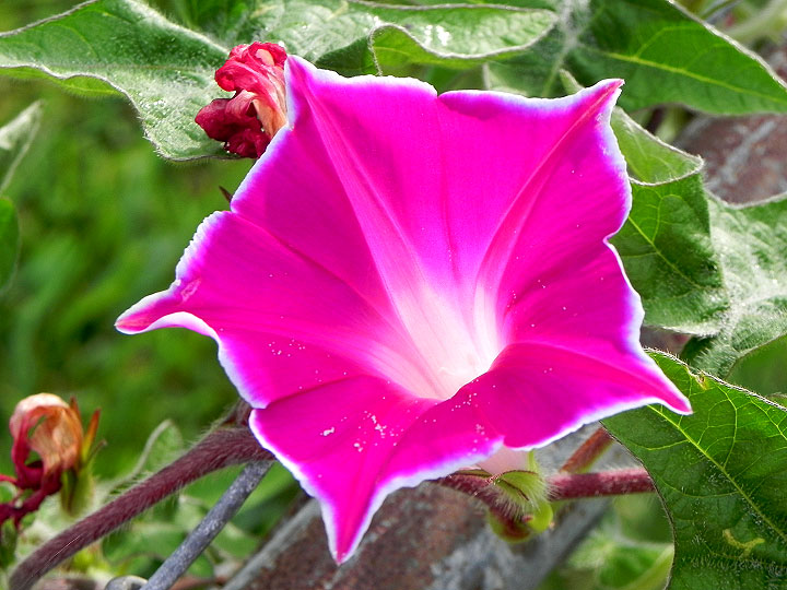 DSCN5569