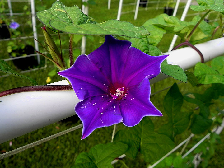 DSCN5656_01