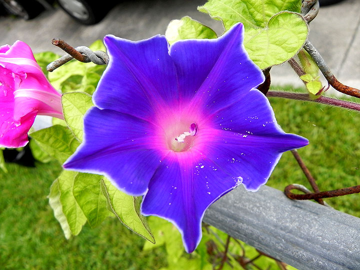 DSCN5677_01