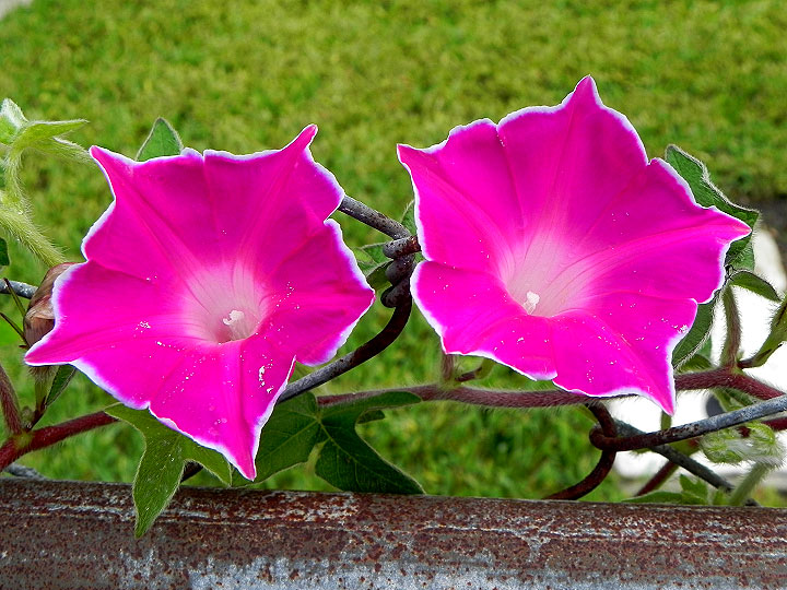 DSCN5739_01