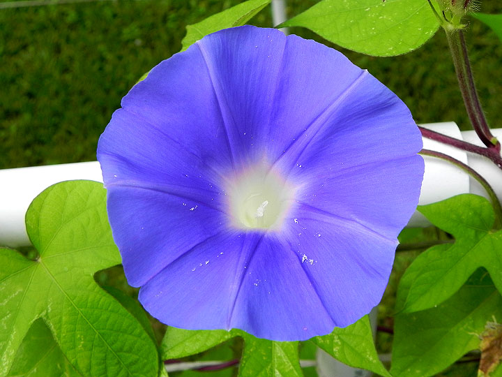 DSCN5771