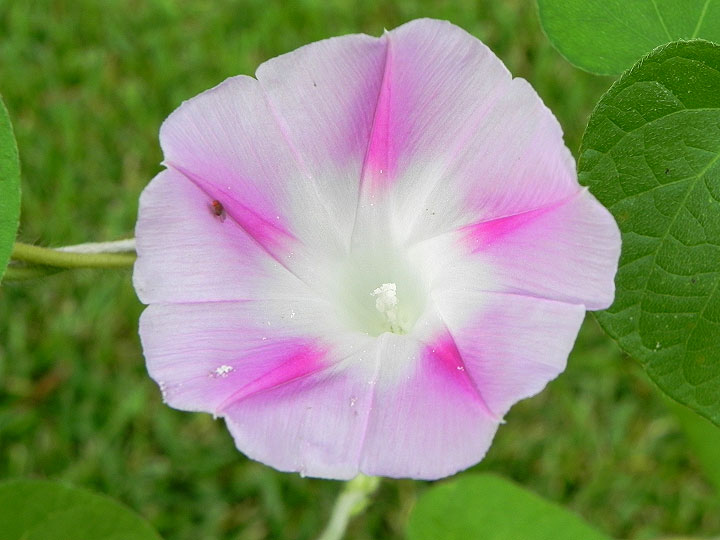 DSCN5984