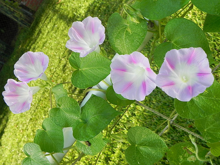 DSCN6385_01