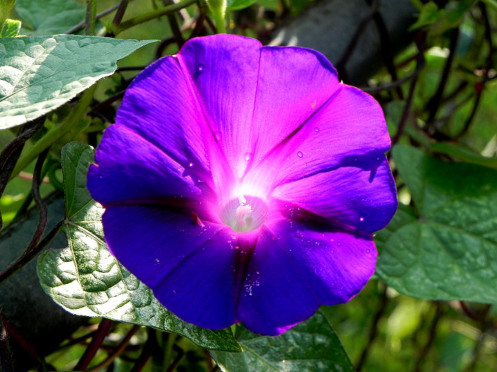 DSCN6772
