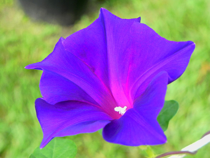 DSCN6914_01
