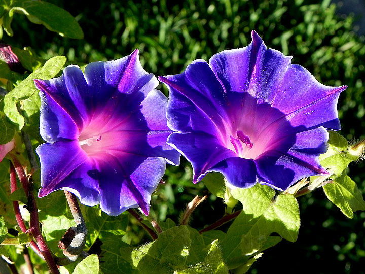 DSCN7092